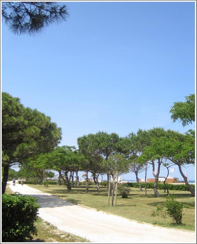 Locations Meublees Plage Des Pins Argelès-sur-Mer Eksteriør billede